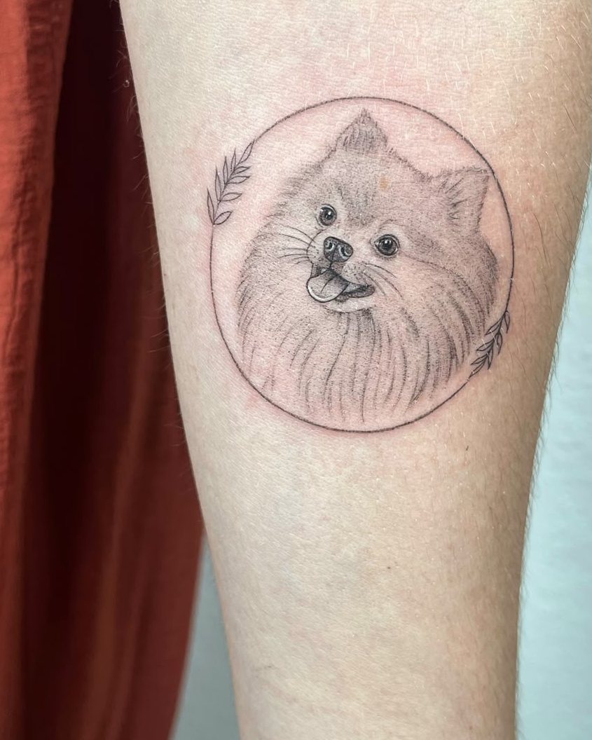 Retrato de microrealismo de un pomerania dentro de un círculo